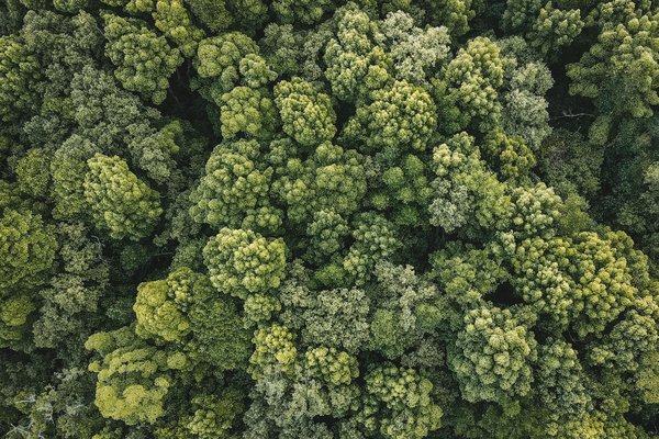 Les secrets de la traversée Corse : un voyage inoubliable